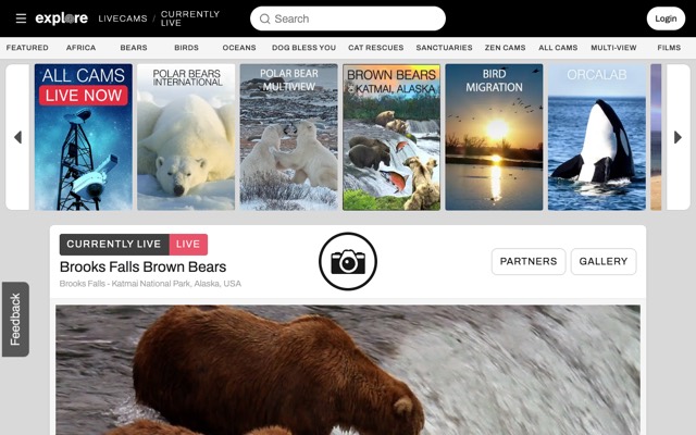 Screenshot of explore.org live cams: Live nature cams, from bears to bird nests.